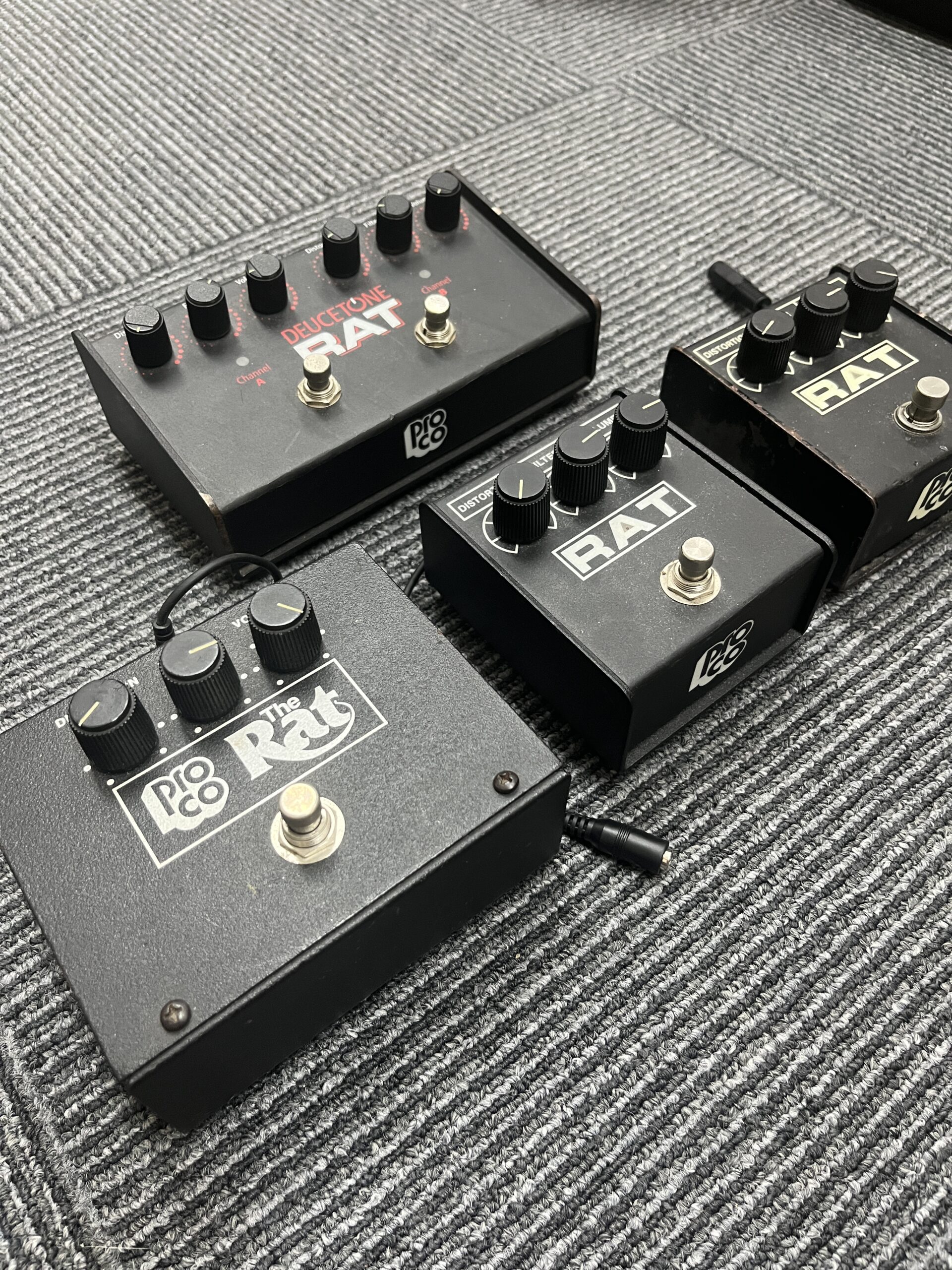 年代違いの ProCo RAT を並べて比較した様子｜大倉ギター教室